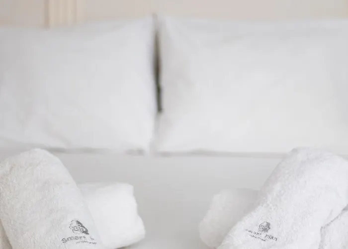 Harmonia Minimal Apartament Salonic